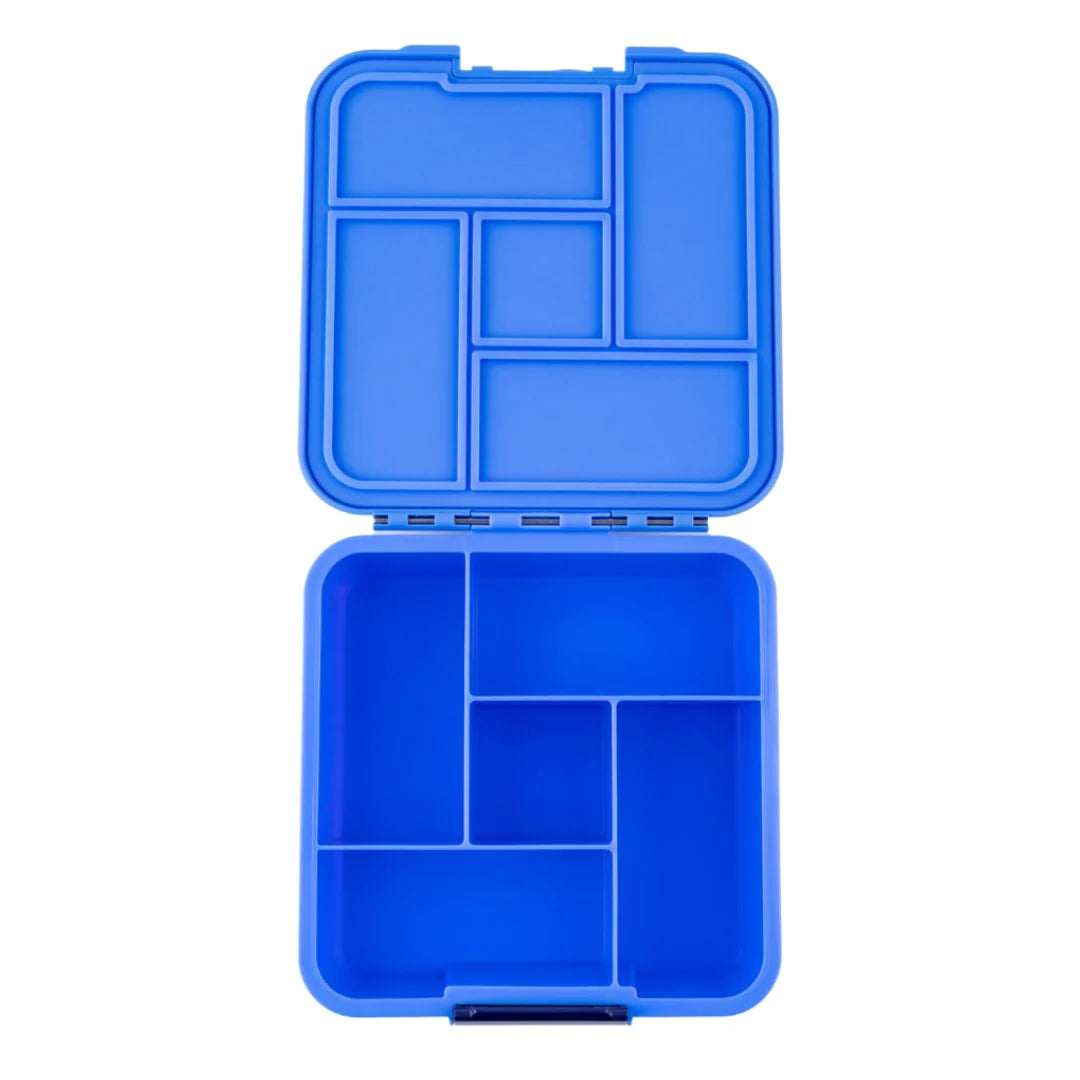 Bento Five - Little Lunch Box Co - Borůvka (ozdob si podle sebe)