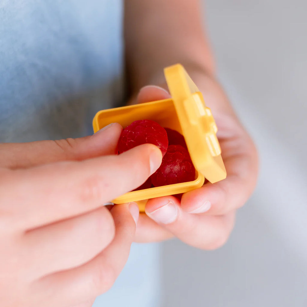 Bento Surprise Box - Sada 2 dóziček - ananasová hvězda