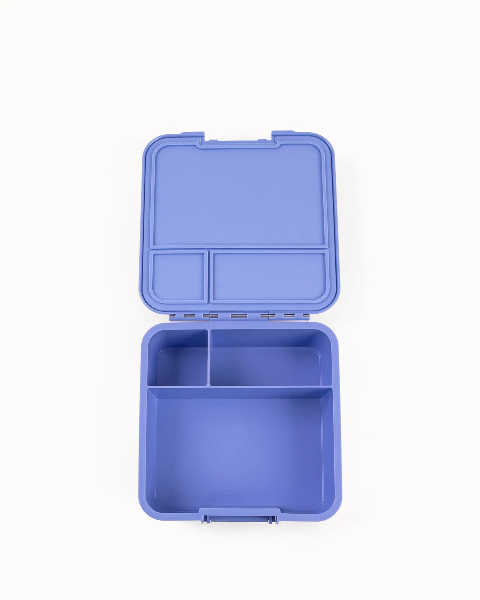Bento 3 - MontiiCo - Splash
