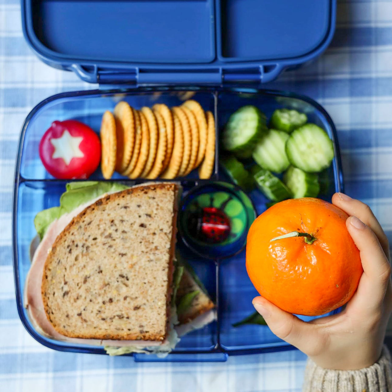 Yumbox GO - 5 oddělení modré Oslo