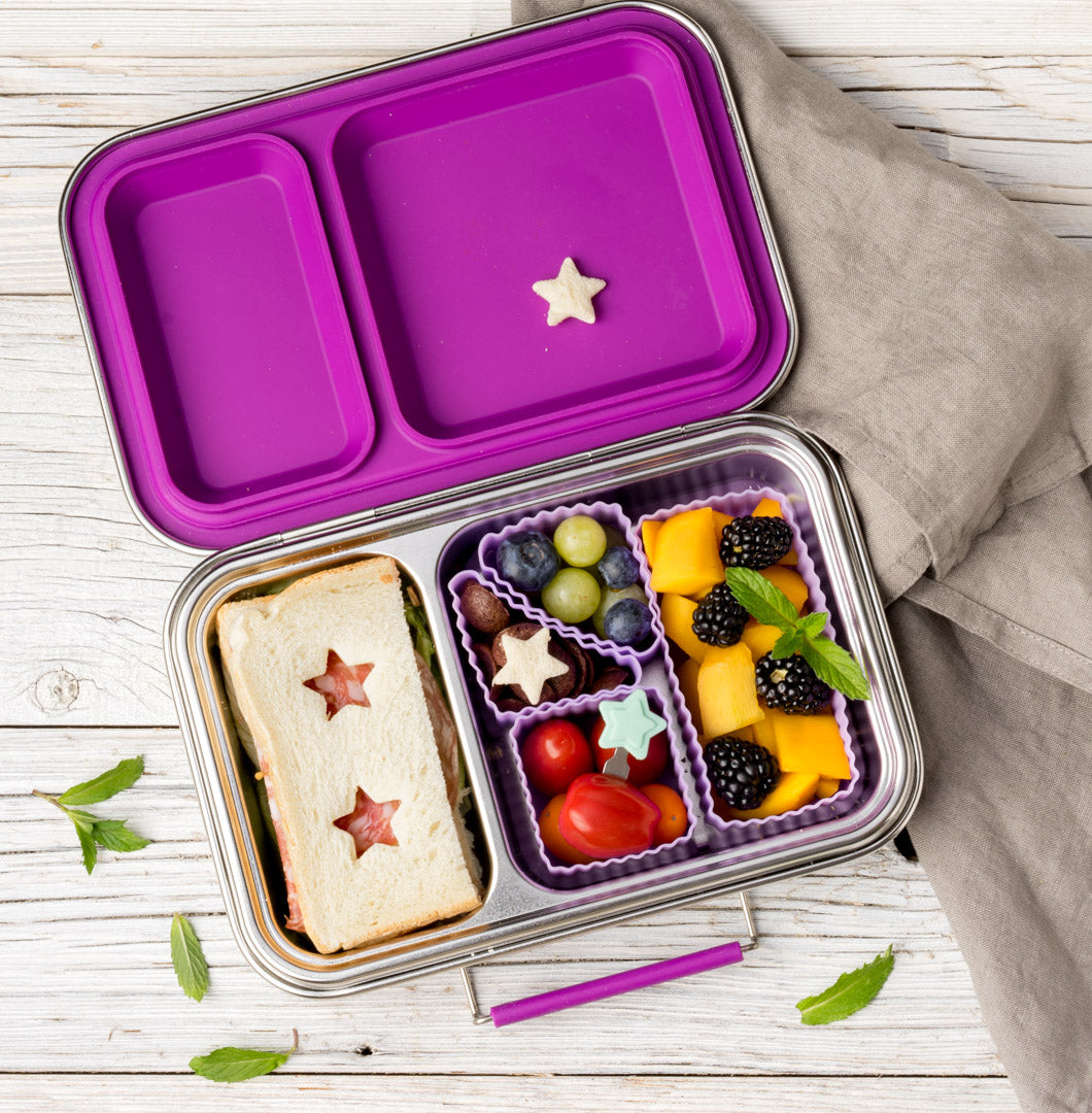 Lekkabox DUO nerezový box se 2 odděleními - lesní ovoce
