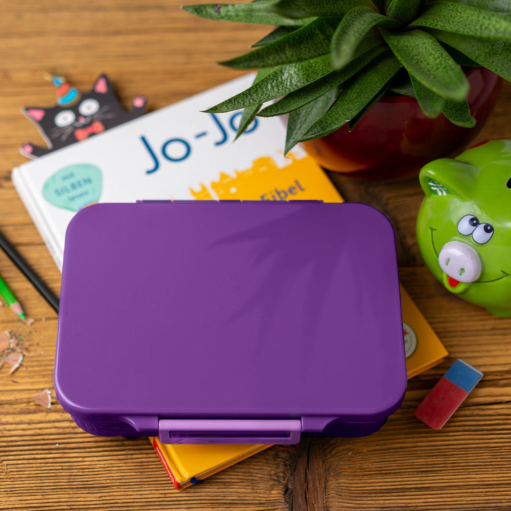 Lekkabox Classic se 4 odděleními - lila