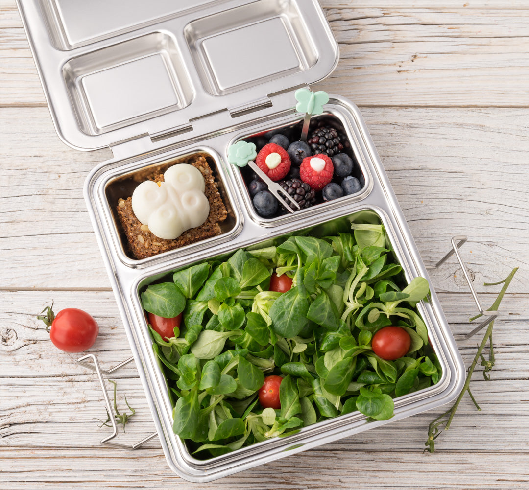Stainless Steel Maxi - Little Lunch Box Co